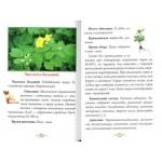 Монастырский опыт исцеления. Простудные заболевания